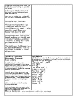 Those Shoes Mentor Text Lesson Plan