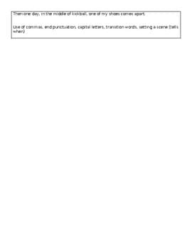 Those Shoes Mentor Text Lesson Plan