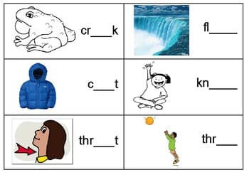 Long O Spelling Sort (oa/ow) with pictures