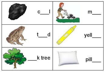 Long O Spelling Sort (oa/ow) with pictures