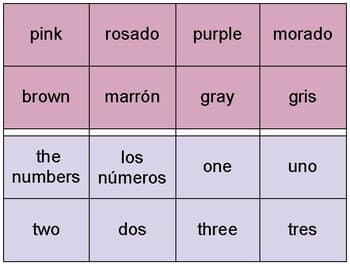 Spanish vocabulary cards